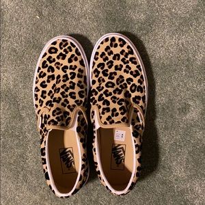Leopard vans